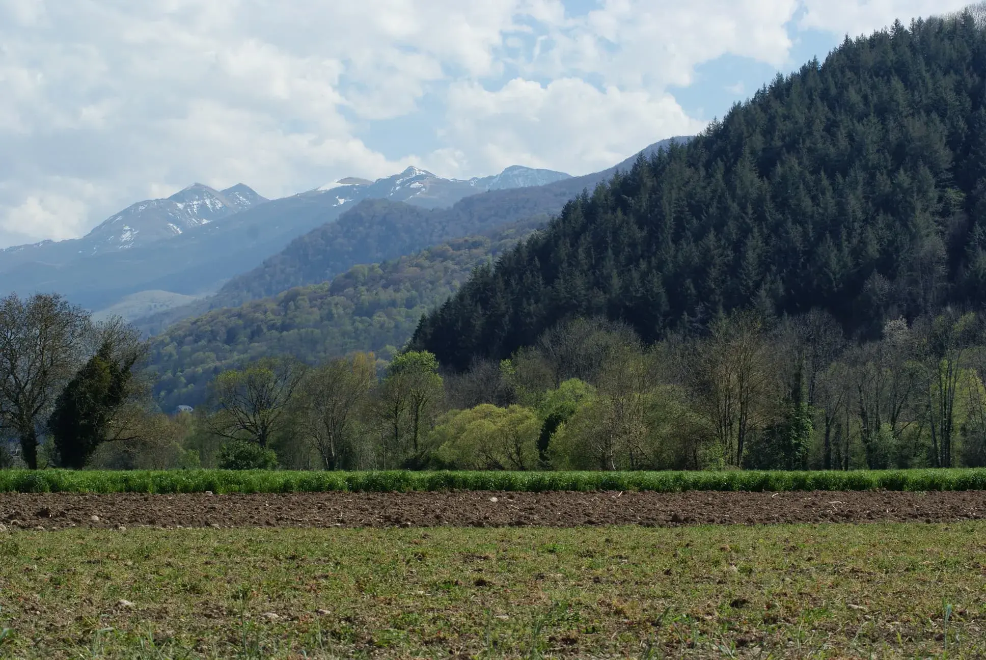 Paysage avec les montagnes en fond