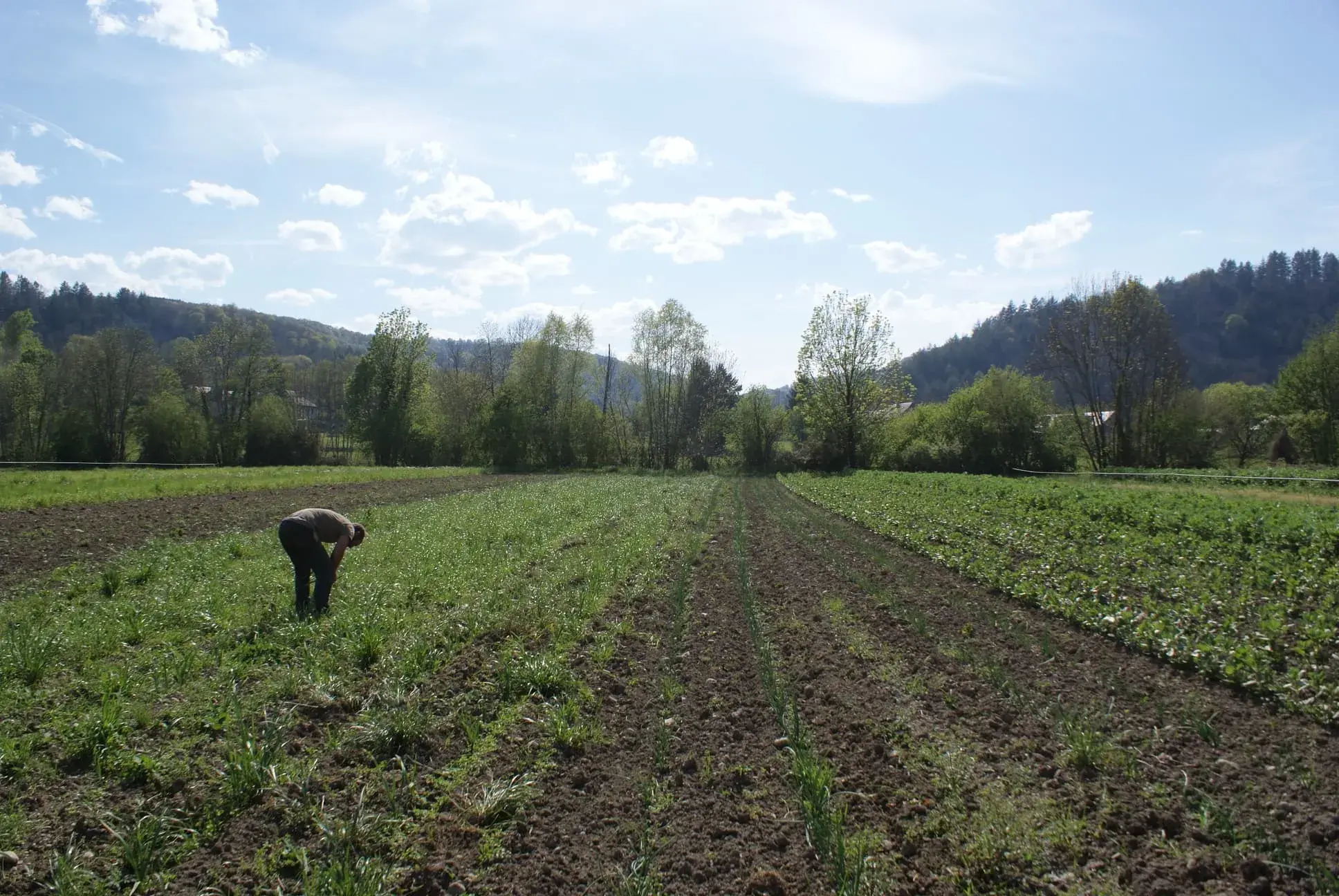 Christophe qui travaille dans son champs