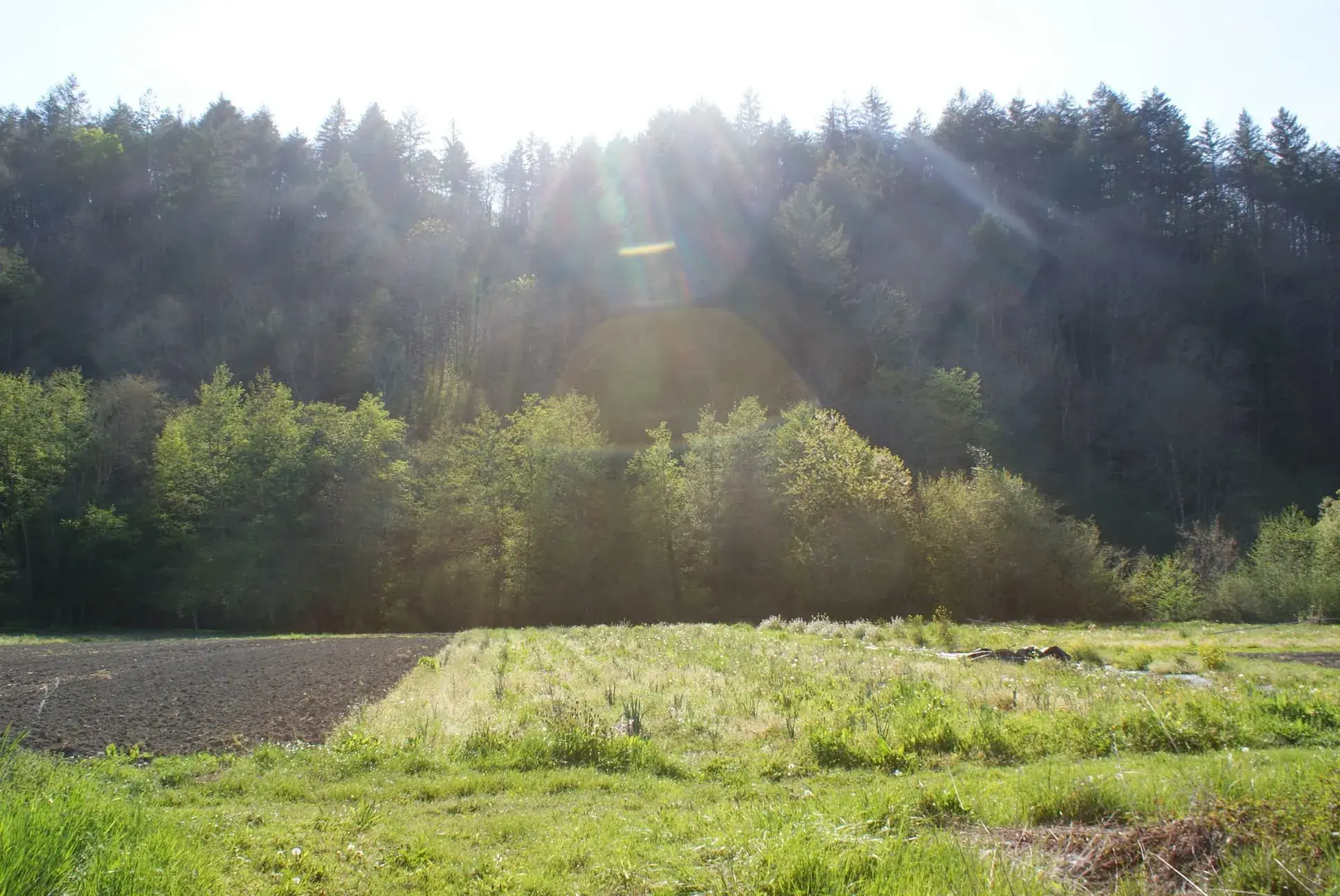 Rayons du soleil sur les champs