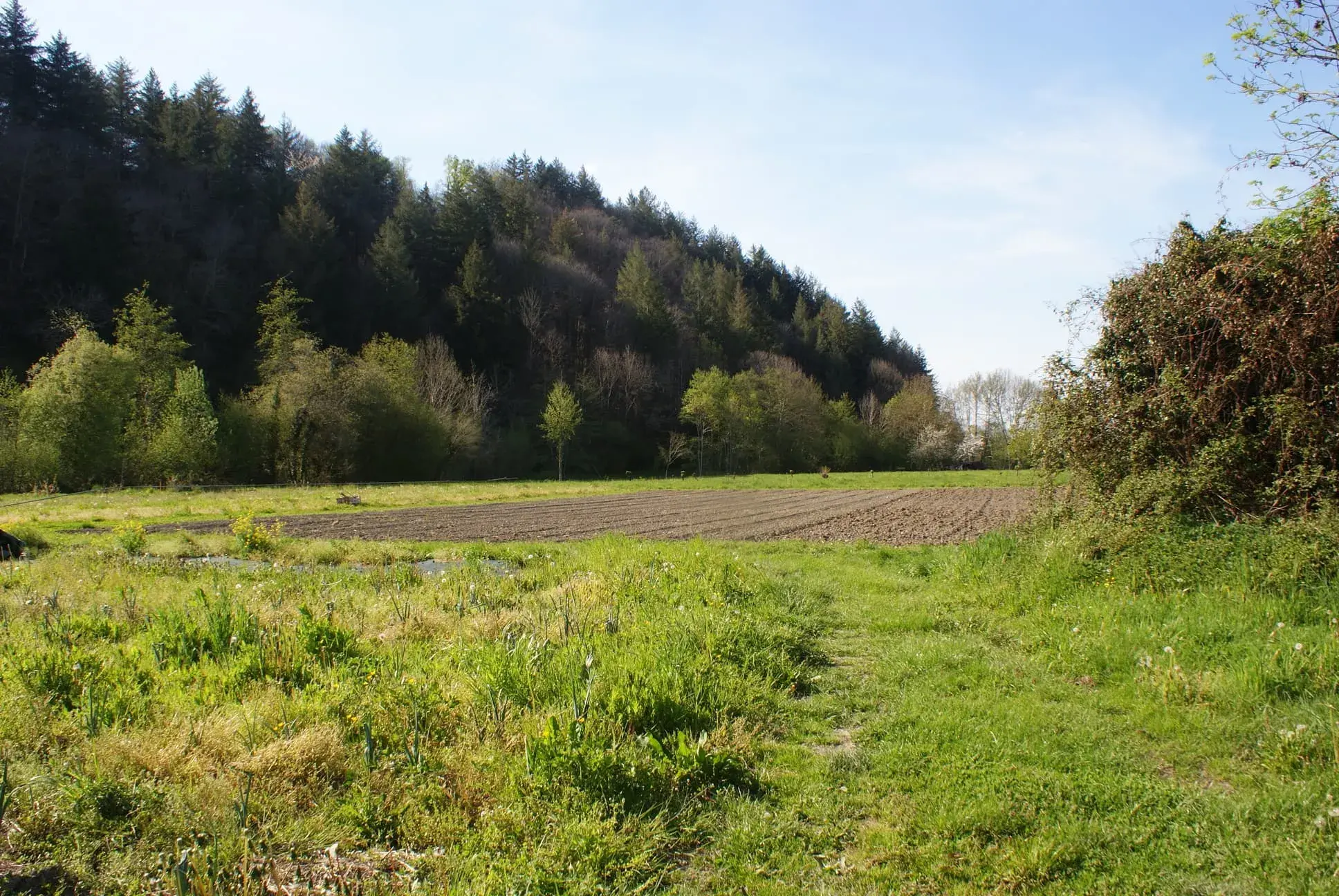 Champs éclairés par le soleil
