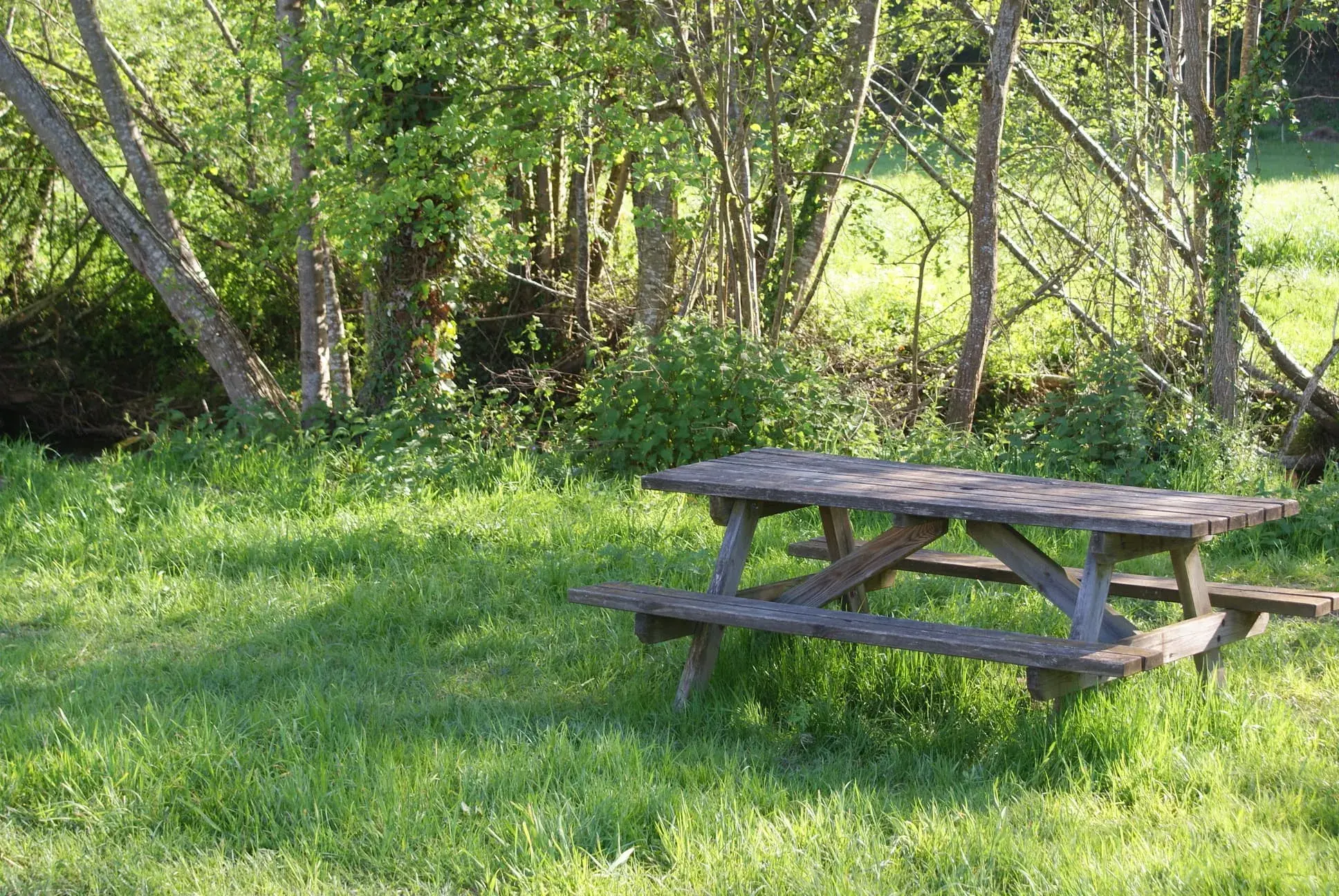 Table de pique nique