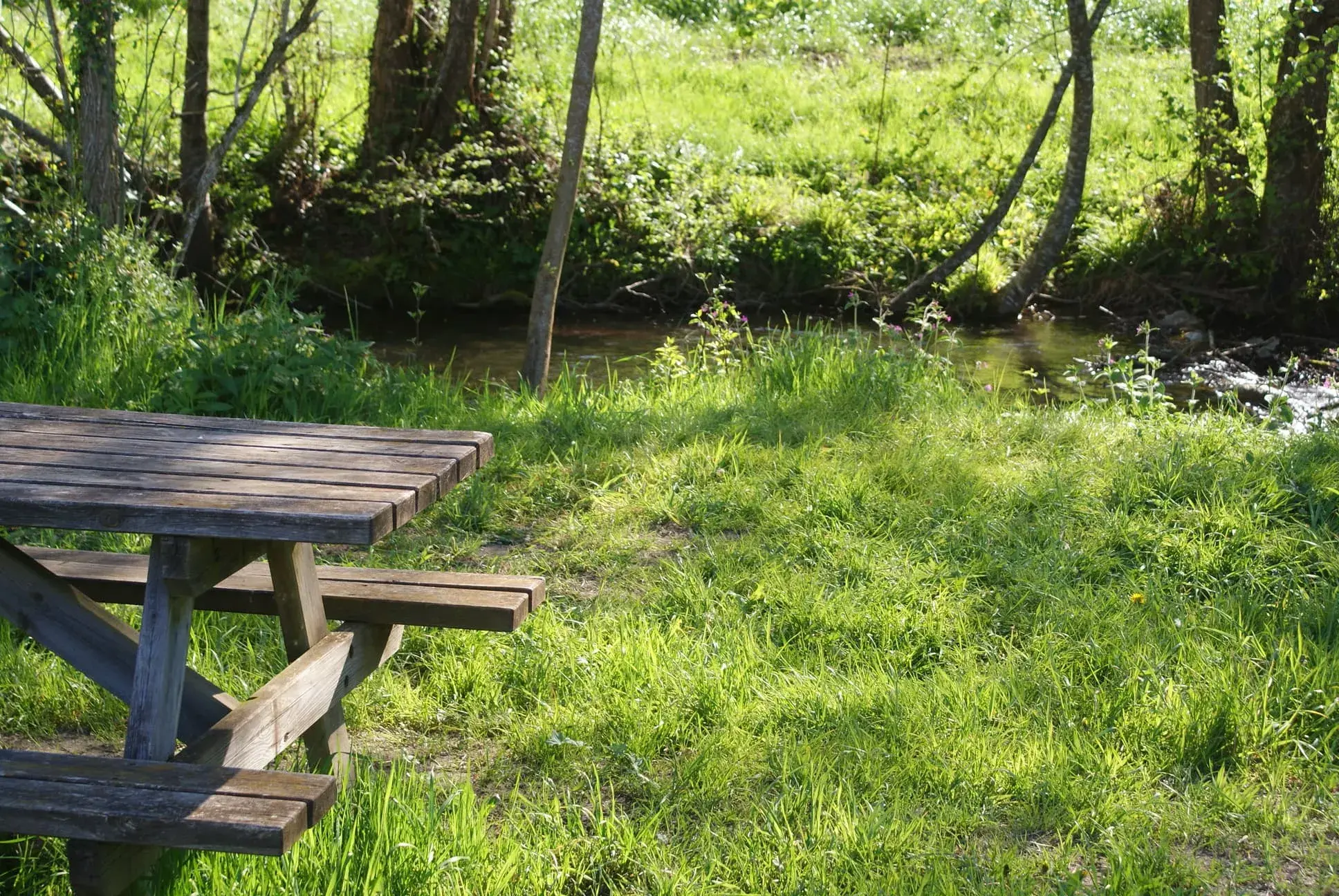 Table de pique nique au coin de l'eau