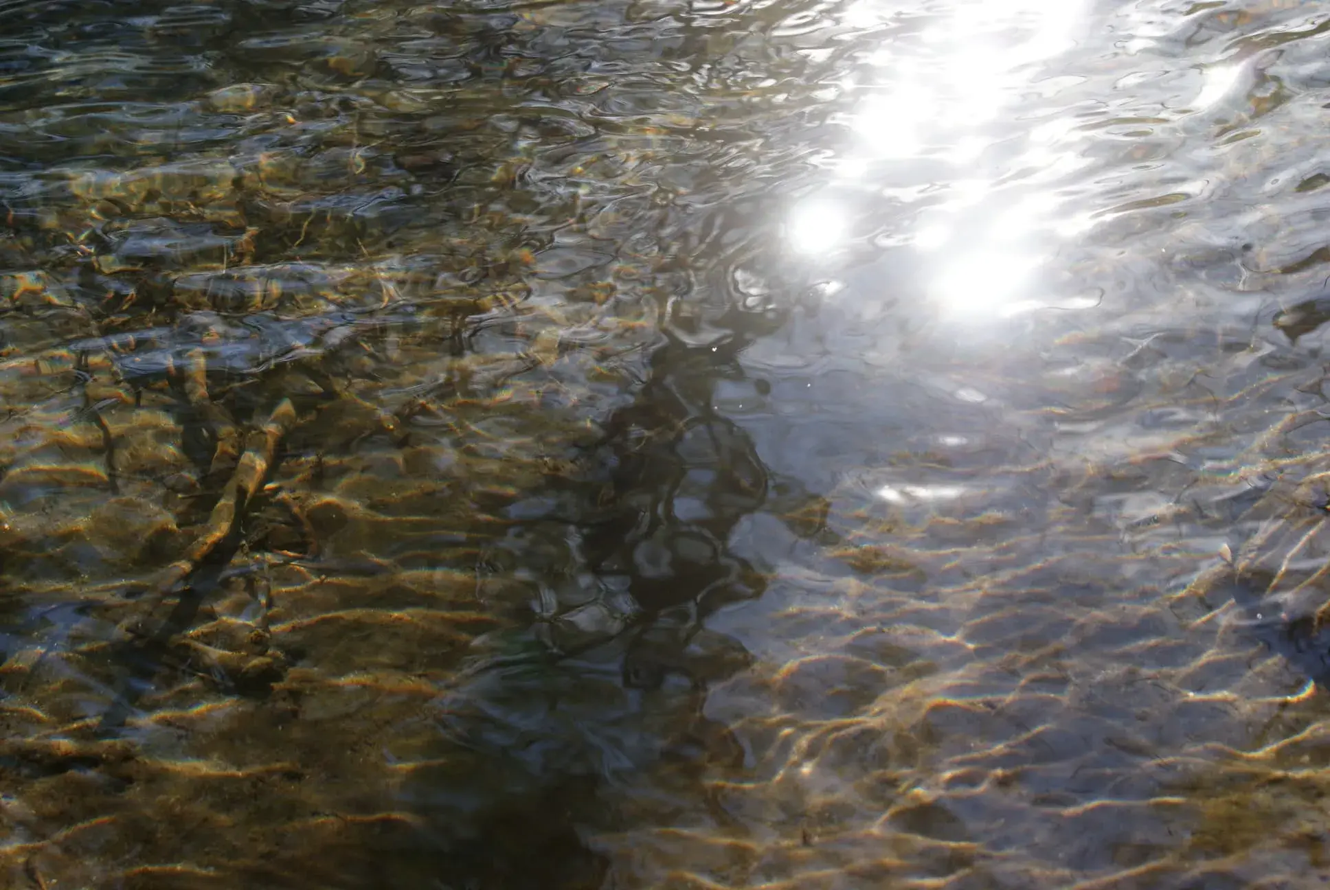 Rayon de soleil dans l'eau